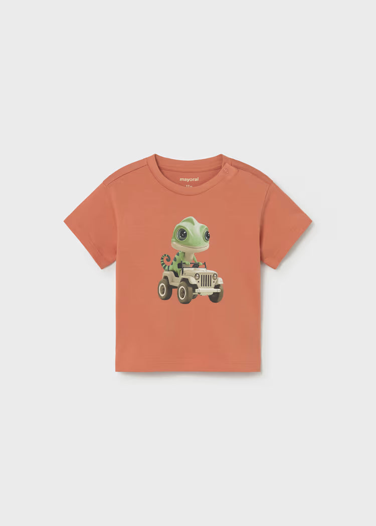Camiseta niño manga corta