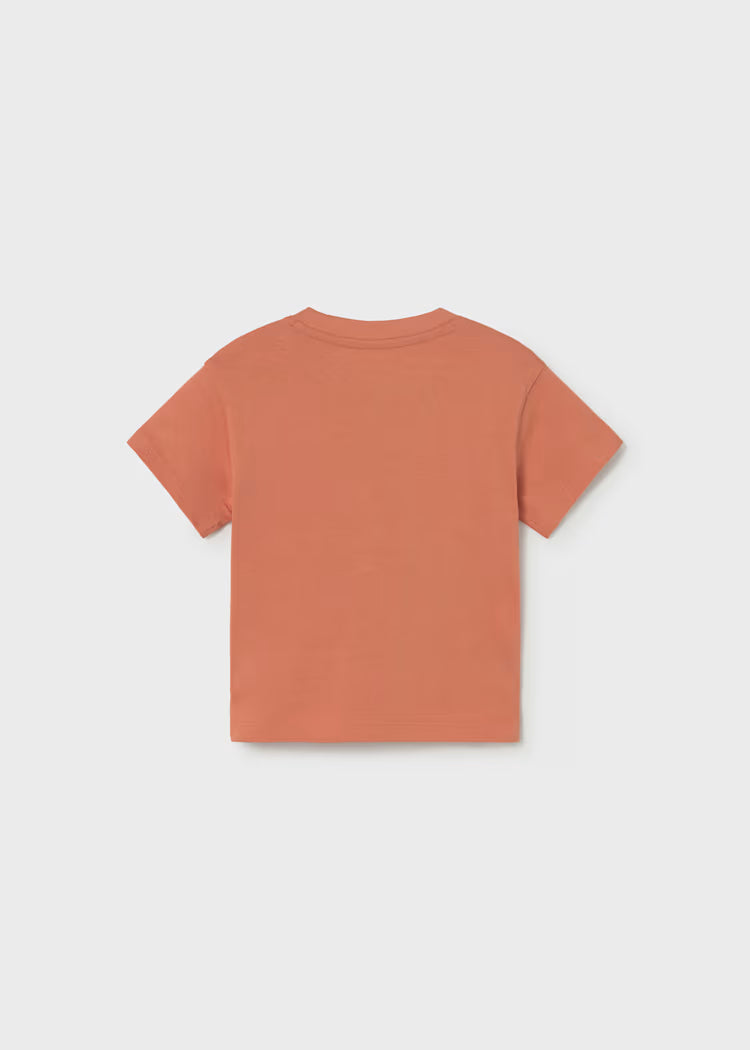 Camiseta niño manga corta