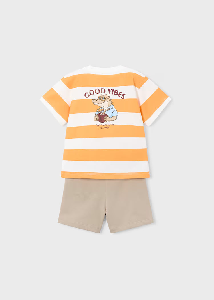Conjunto rallas niño