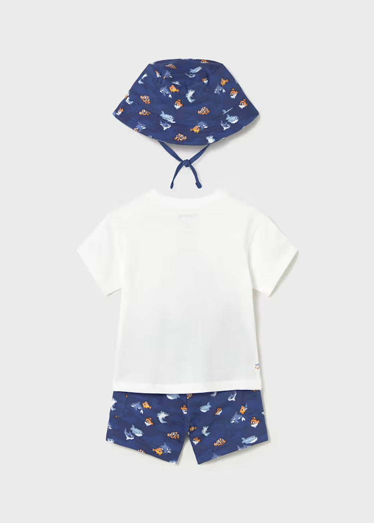 Conjunto niño